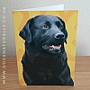 Black Labrador Jazzy Greetings Card